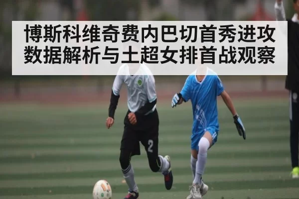 博斯科维奇费内巴切首秀进攻数据解析与土超女排首战观察 | NG28