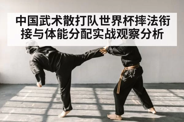中国武术散打队世界杯摔法衔接与体能分配实战观察分析 | NG28